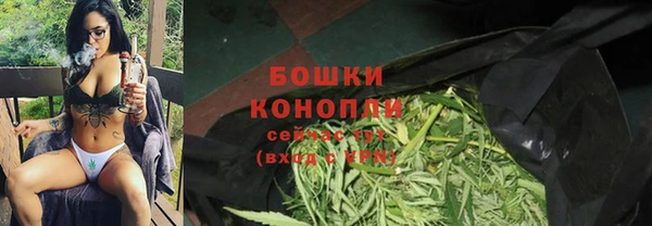 spice Богородск