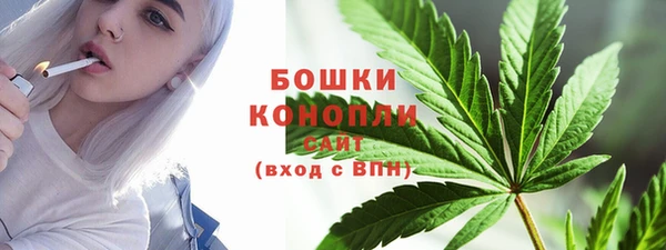 apvp Богородицк