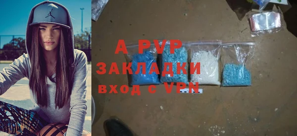 spice Богородск