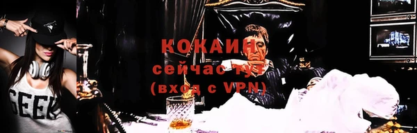 spice Богородск