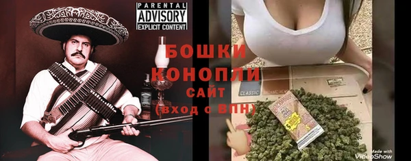 spice Богородск