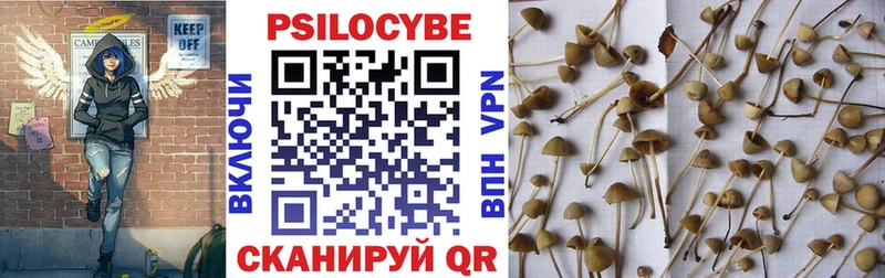 Галлюциногенные грибы мицелий  Шуя 